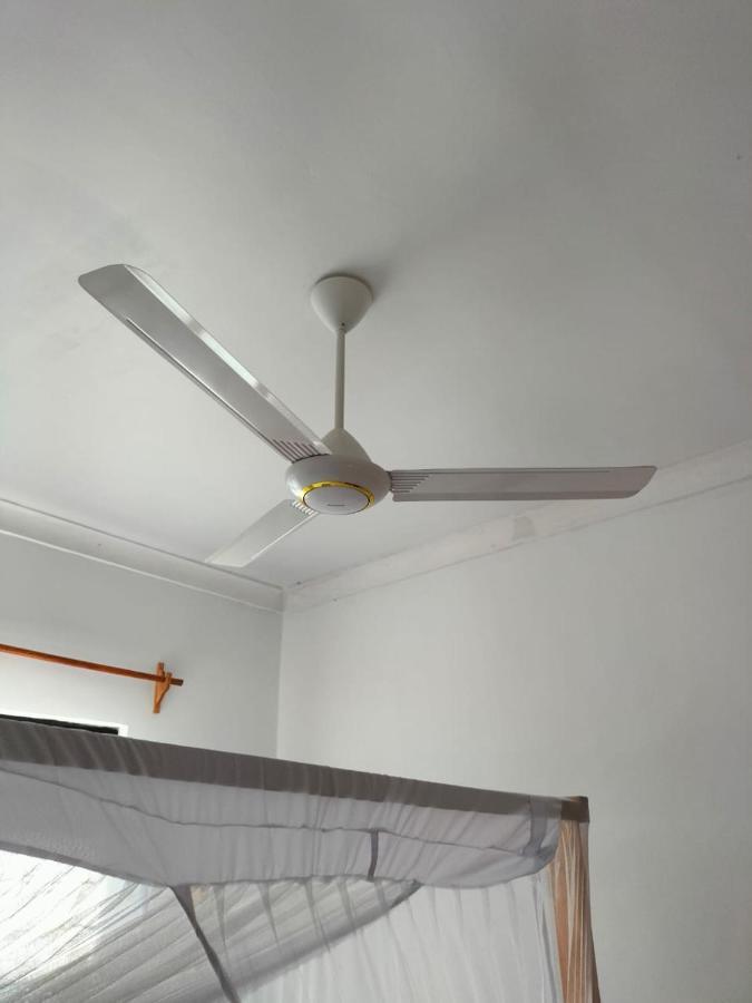 פאג'ה Mambo Leo Hostel מראה חיצוני תמונה