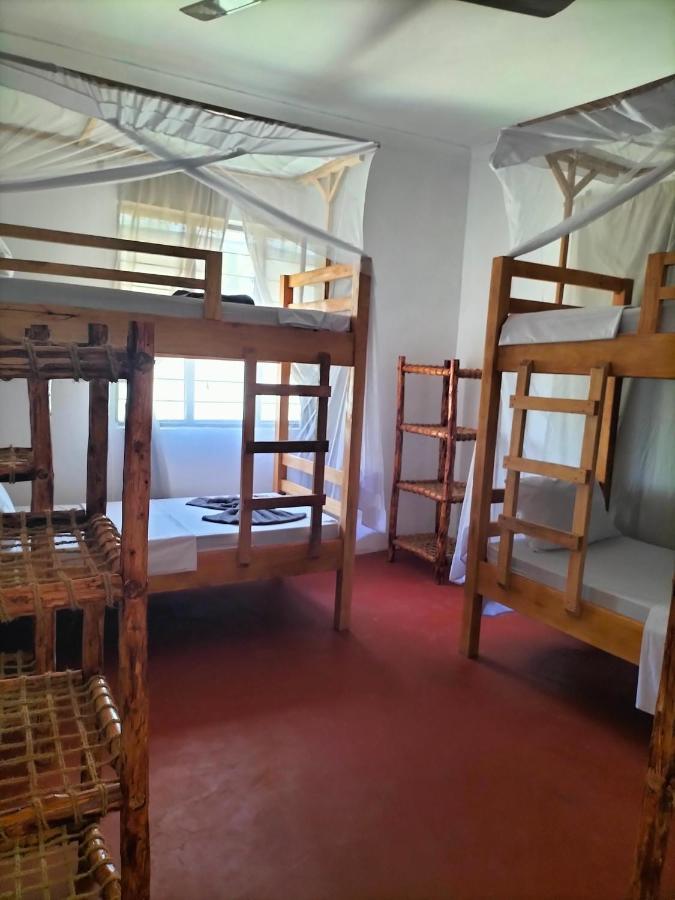 פאג'ה Mambo Leo Hostel מראה חיצוני תמונה
