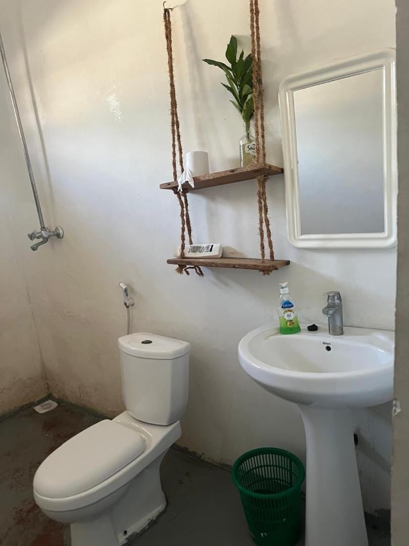 פאג'ה Mambo Leo Hostel מראה חיצוני תמונה