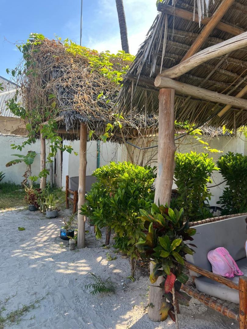 פאג'ה Mambo Leo Hostel מראה חיצוני תמונה